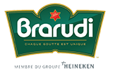 www.brarudi.bi